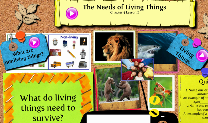 Needs of Animals and Plants - Grade 1 KC
